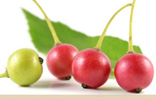 Health benefits of Jamaica Cherry