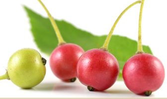 Health benefits of Jamaica Cherry