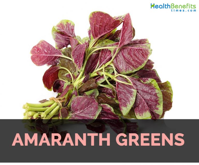 Amaranth greens Facts, Health Benefits & Nutritional Value