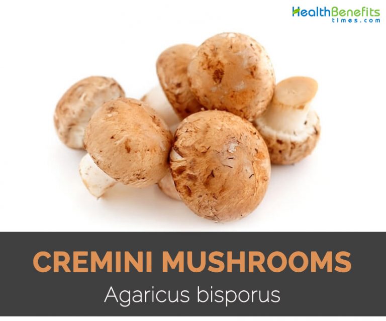 Cremini Mushrooms Fact, Health Benefits & Nutritional Value