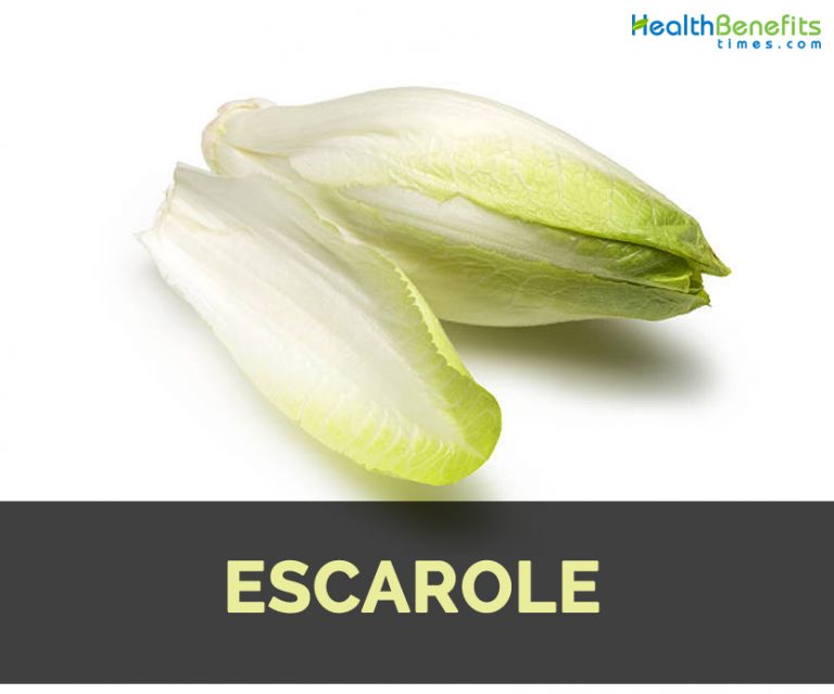 Escarole Facts, Health Benefits and Nutritional Value