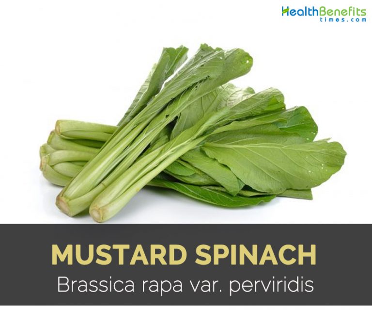 Mustard spinach Facts and Nutritional Value