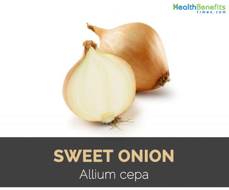 Sweet Onion Facts, Health Benefits and Nutritional Value