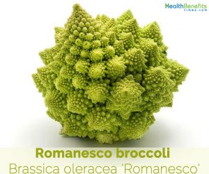 Romanesco broccoli facts and nutrition