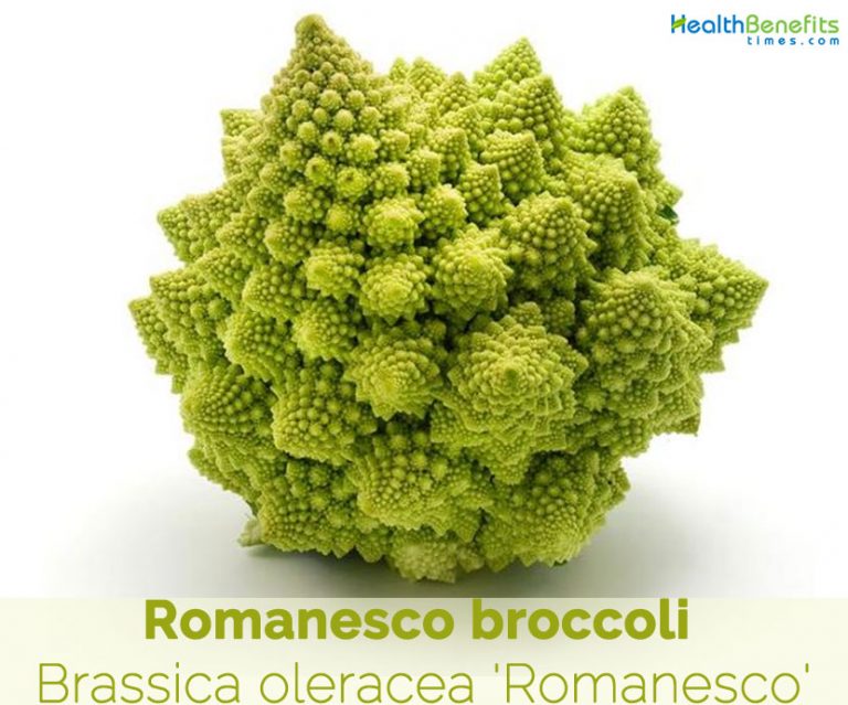 Romanesco broccoli facts and health benefits