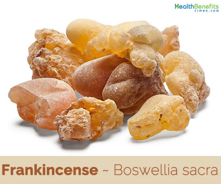 Frankincense facts and health benefits