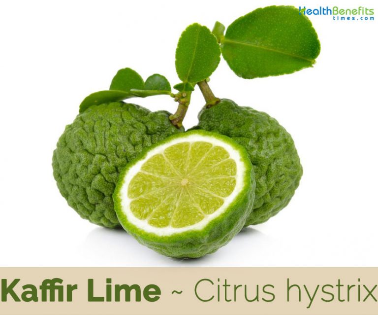 Kaffir Lime facts and health benefits