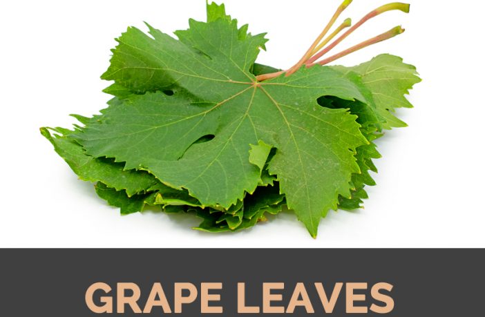 Grape Leaves Facts Health Benefits And Nutritional Value