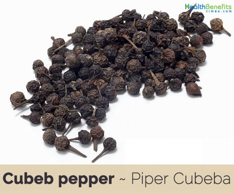 Cubeb pepper facts and health benefits