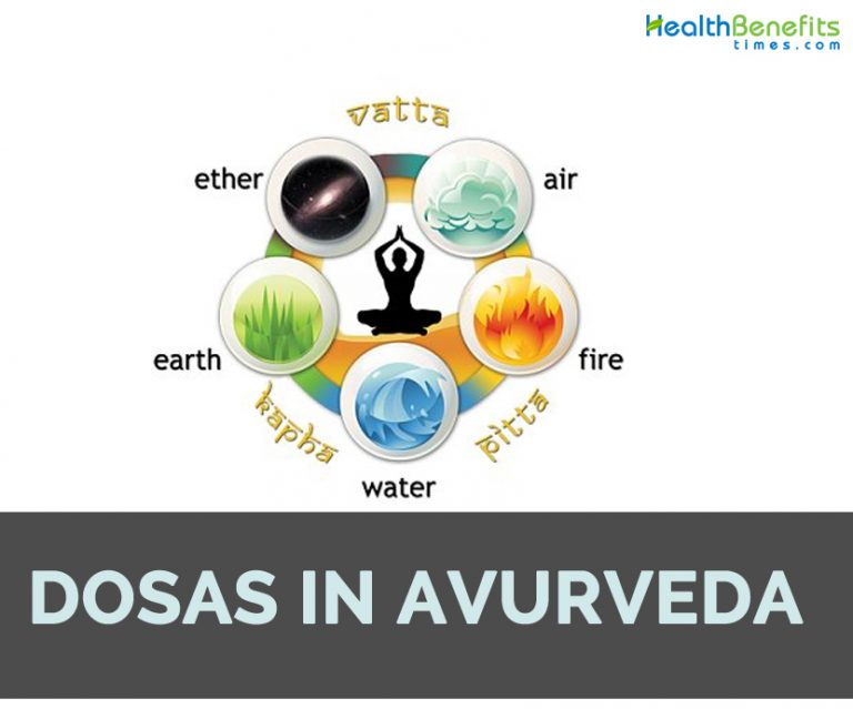 The three Doshas in Ayurveda Vata, Pitta, Kapha