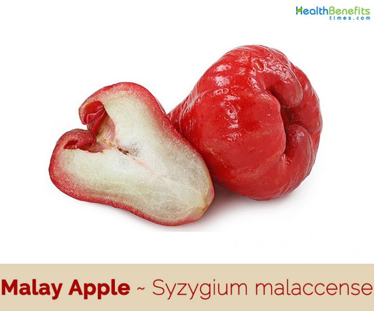 Malay Apple facts and health benefits