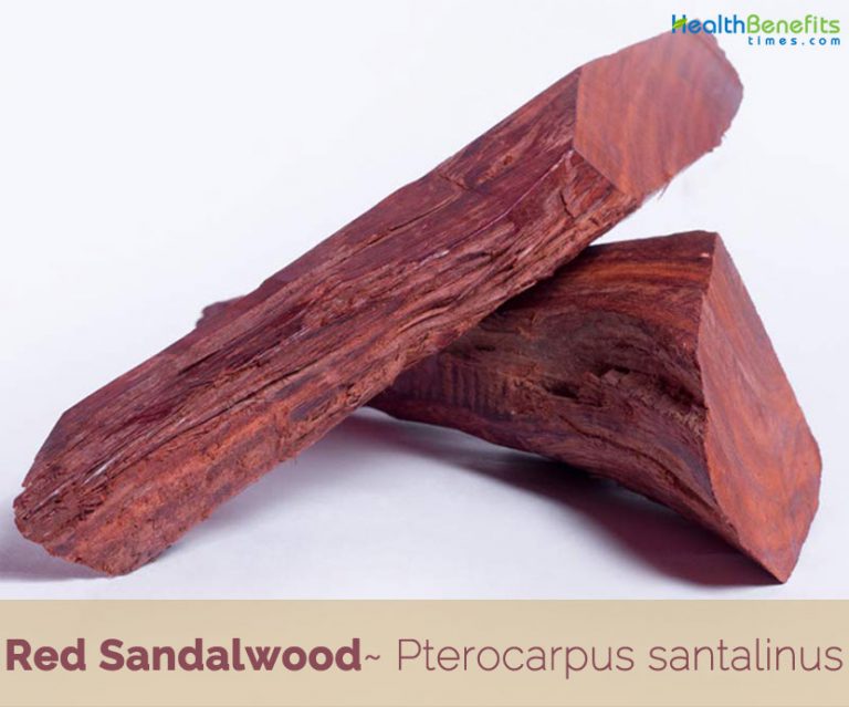 Red Sandalwood facts and health benefits