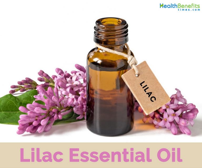 Lilac Essential oil facts and health benefits