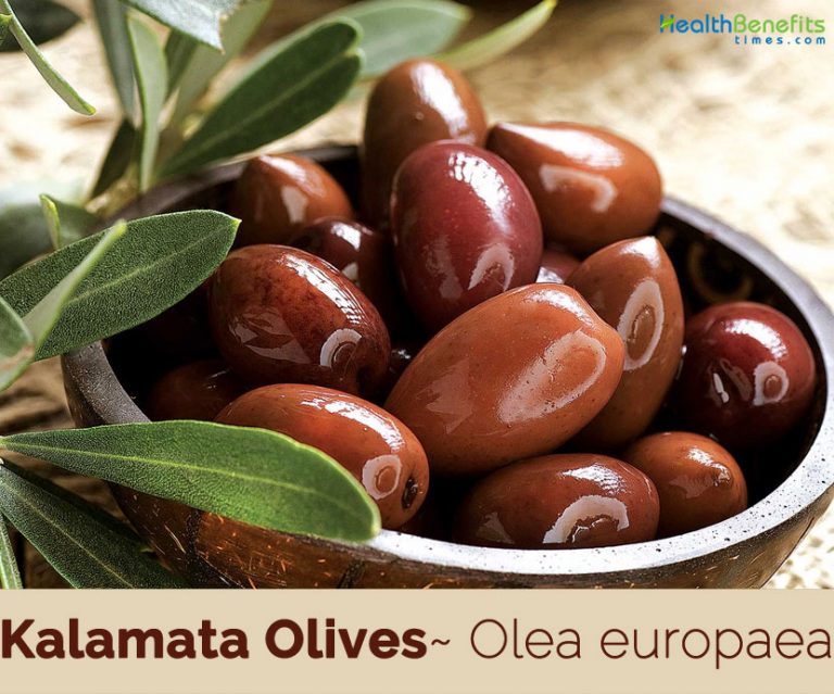 Kalamata Olives facts and health benefits