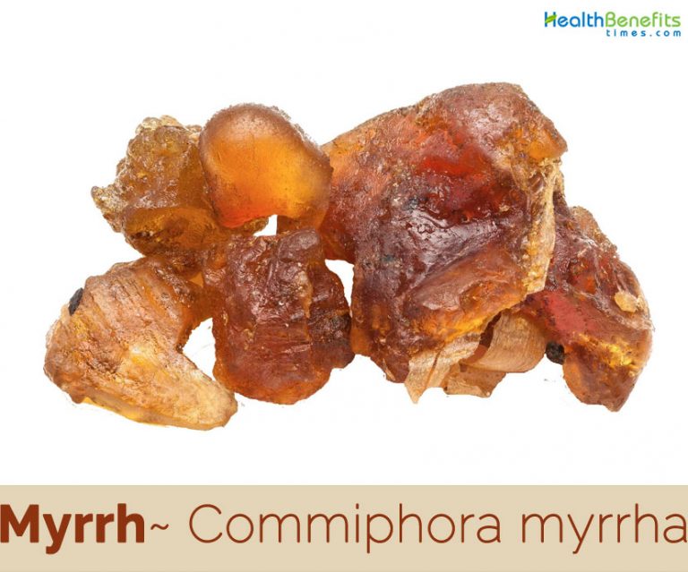 Myrrh facts and health benefits