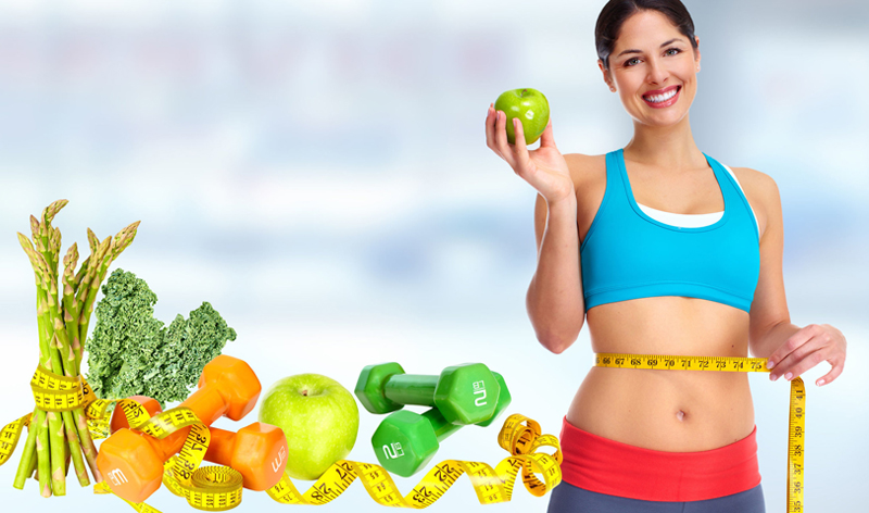 What should each Meal Plan Consist of to Lose weight?