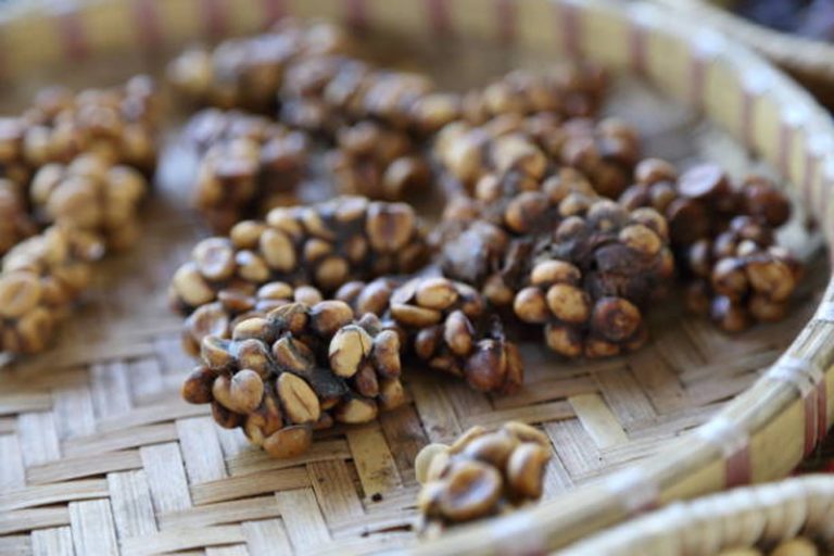 Learn about Kopi Luwak and Its Benefits
