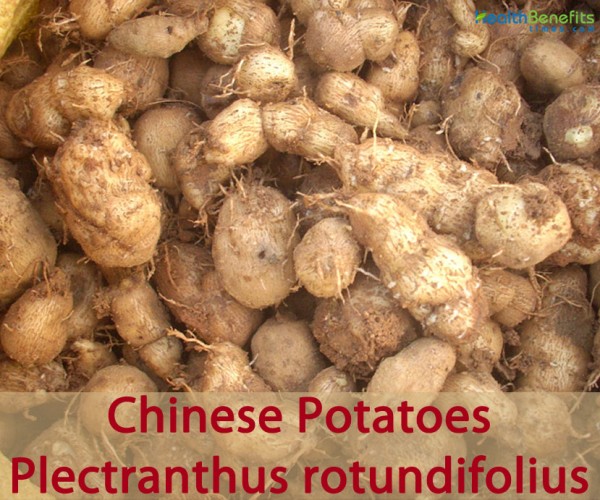 Chinese Potatoes facts and health benefits