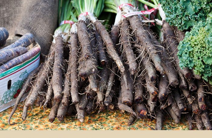 Details about   Seeds Black Root Salsify Scorzonera Medicinal Vegetable Planting Organic Ukraine 