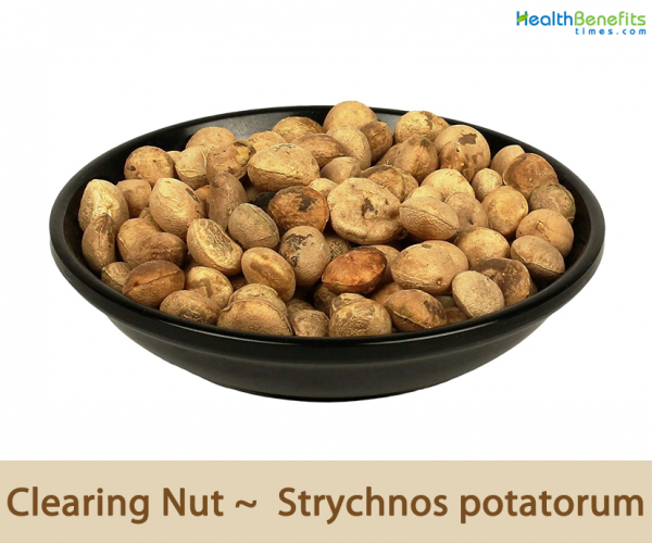 Clearing Nut facts and health benefits