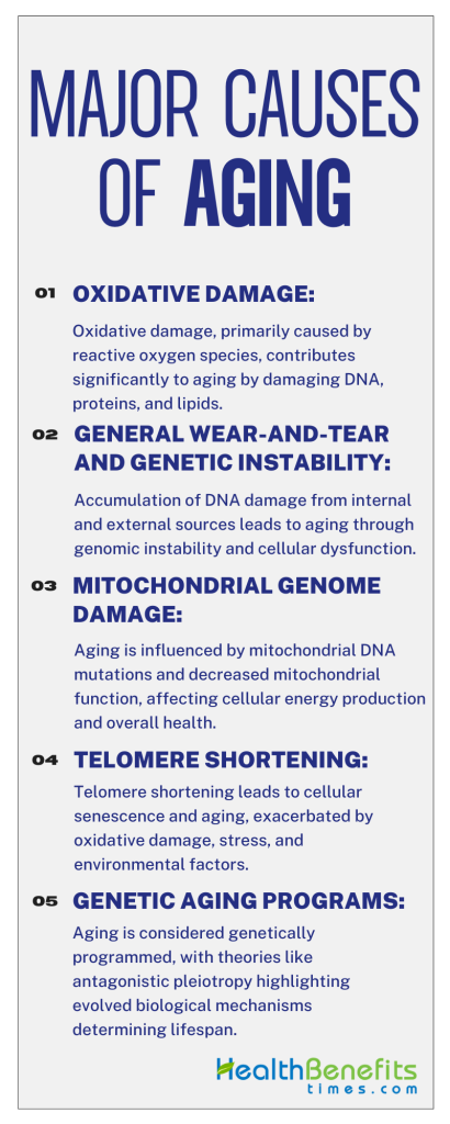 Major causes of Aging | Health Benefits