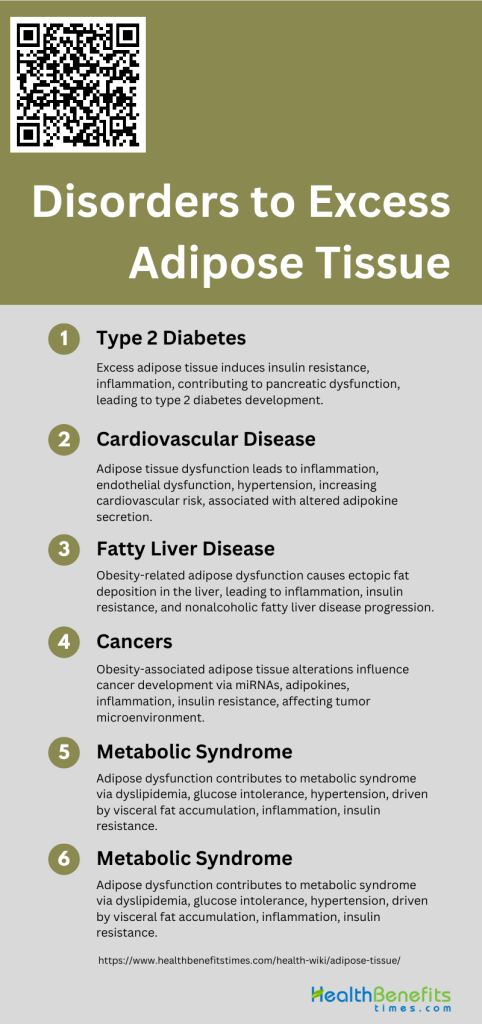 What is Adipose Tissue? - Health Benefits - Adipose Tissue And Mental Health