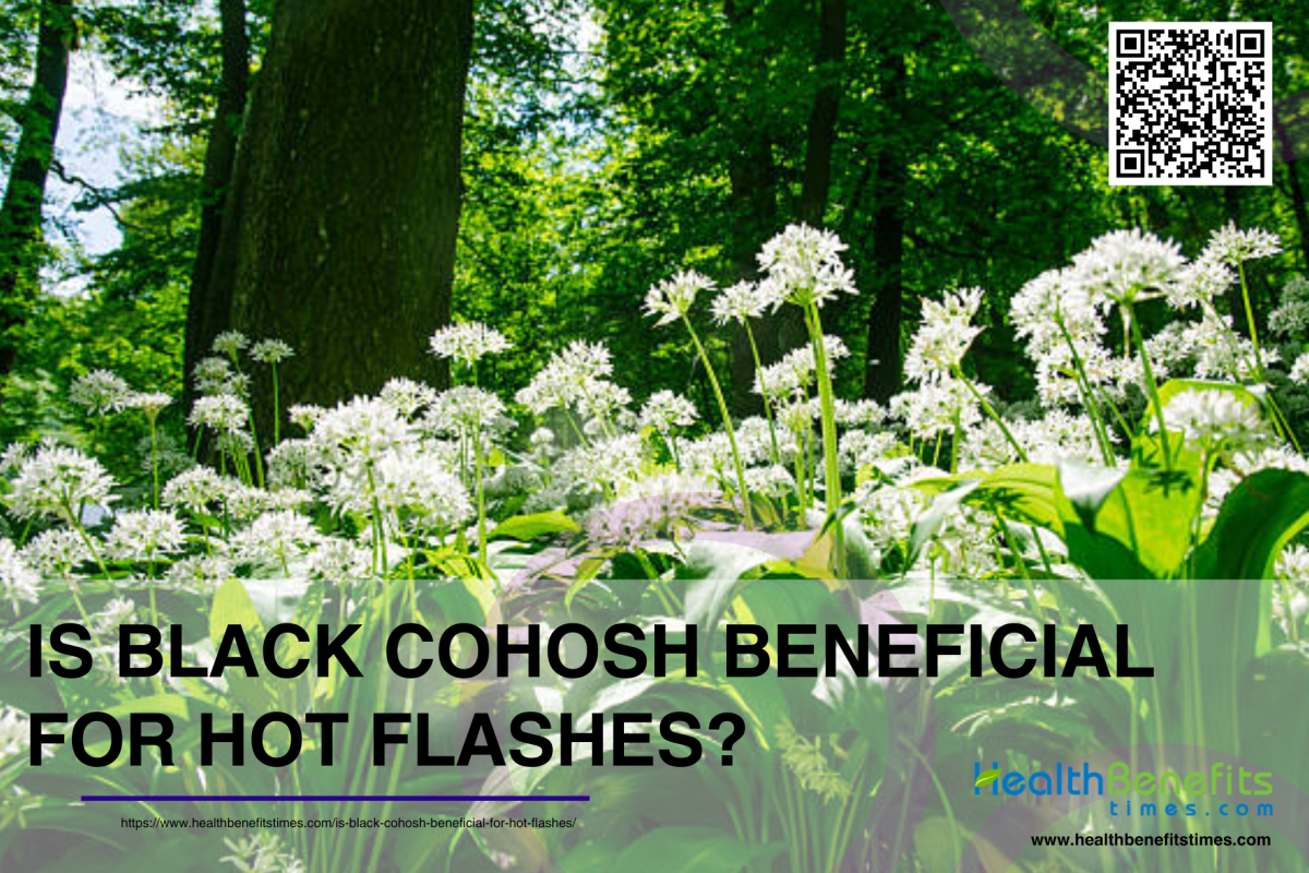 Is Black cohosh beneficial for hot flashes?