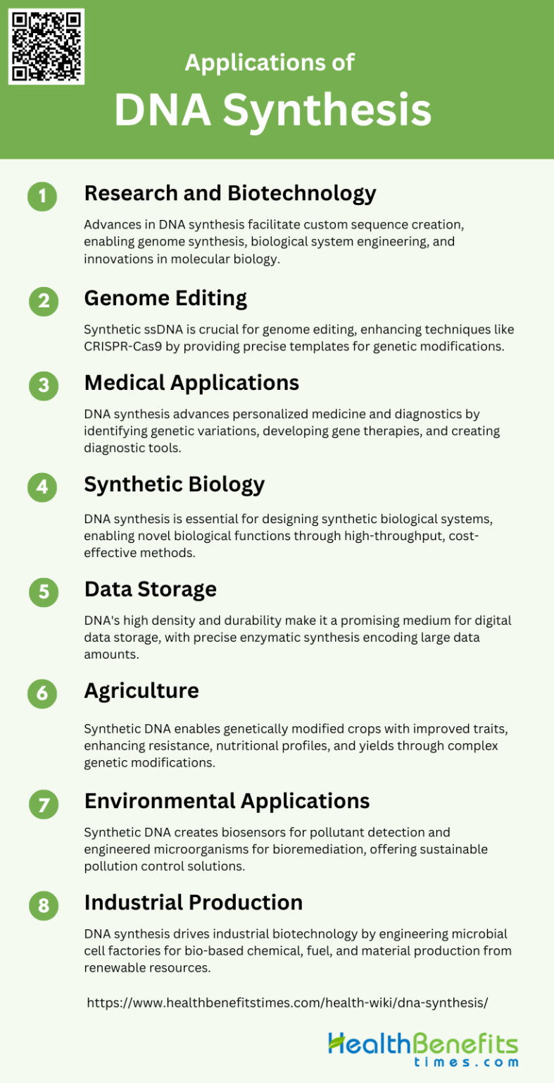 What is DNA synthesis? | Health Benefits
