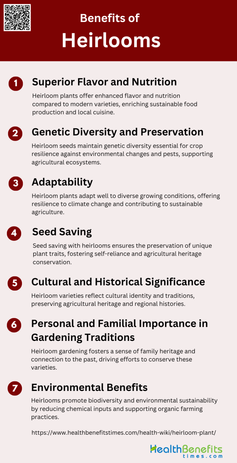 Benefits of Heirlooms | Health Benefits