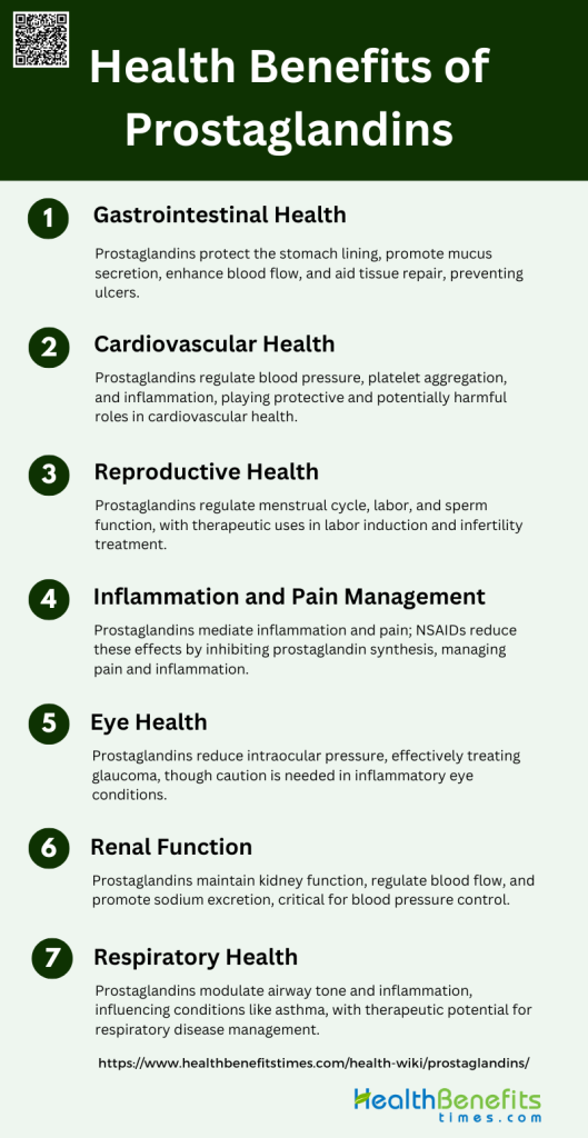 Prostaglandins: What It Is, Function & Side Effects - Health Benefits