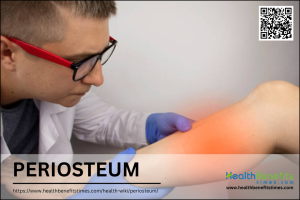 What is Periosteum: Anatomy & function - Health Benefits