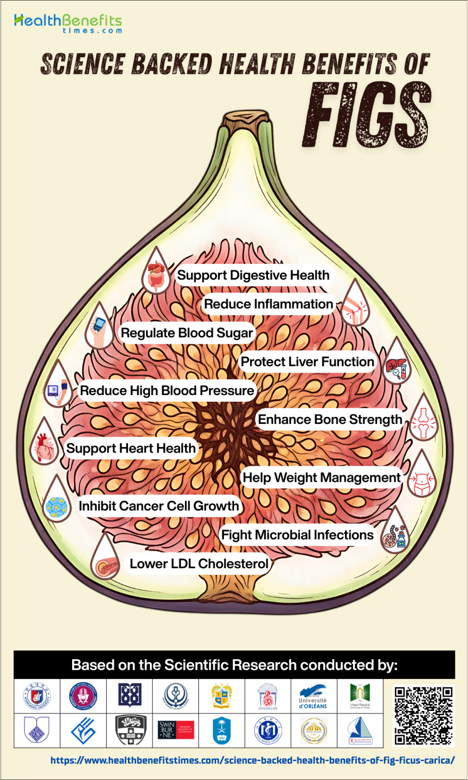 Future Trajectory of Thermal Medicine
