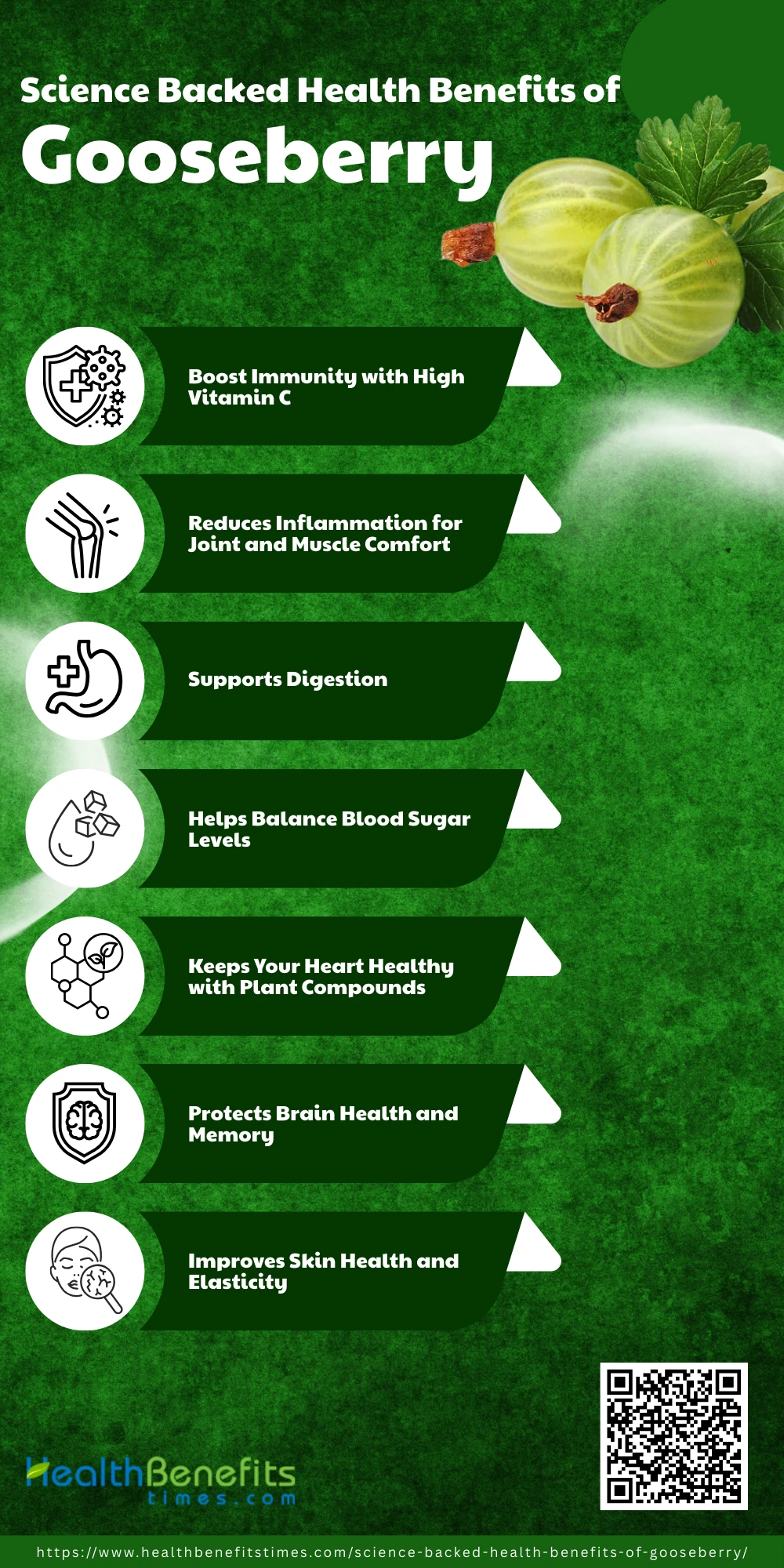 Science Backed Health Benefits Of Gooseberry Ribes Uva crispa 