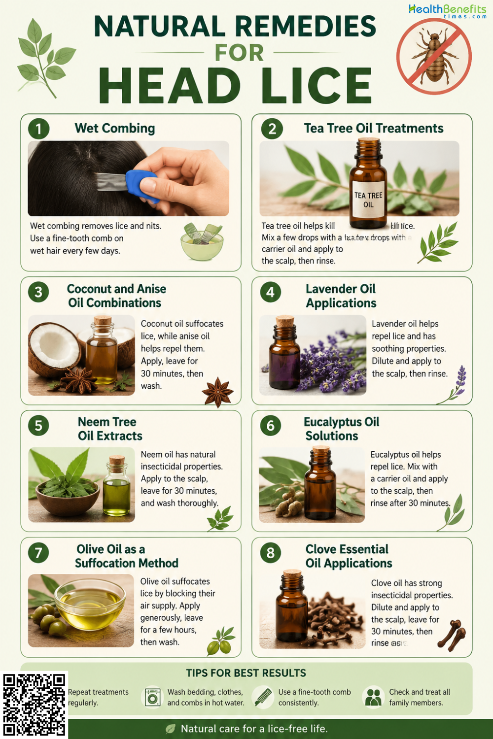 Natural Remedies for Head Lice