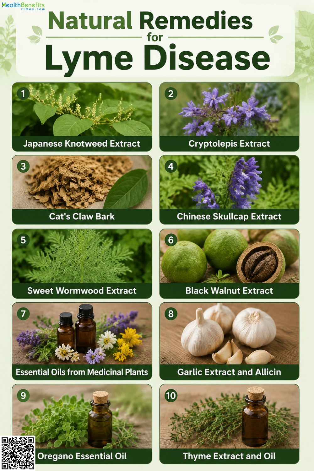 Natural Remedies for Lyme Disease