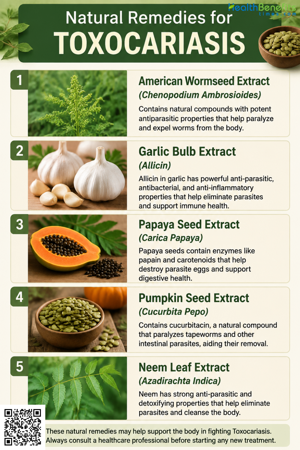Natural Remedies for Toxocariasis