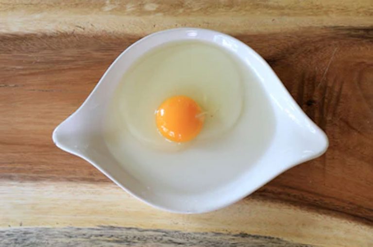 Albumen Definition of Albumen Albumen Definition of Albumen