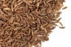 Caraway seed