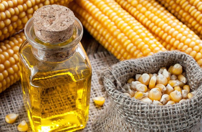 High-oil corn - Definition of High-oil corn