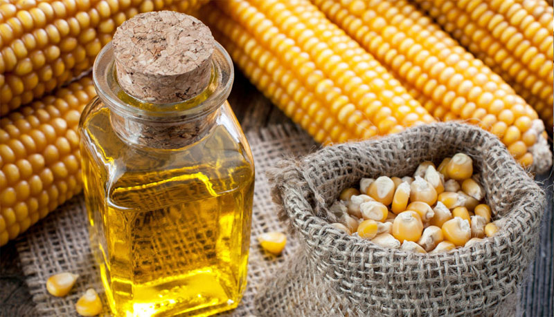 High-methionine corn - Definition of High-methionine corn