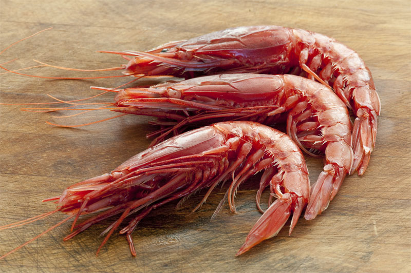 Prawn - Definition of Prawn