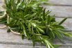 Rosemary