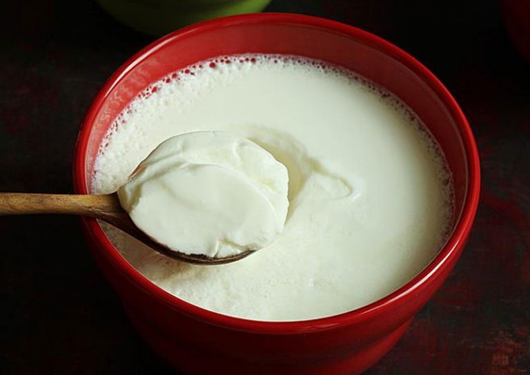 Yogurt Definition of Yogurt