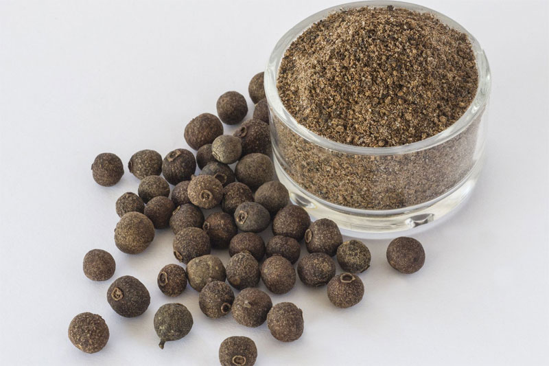 Allspice Definition of Allspice