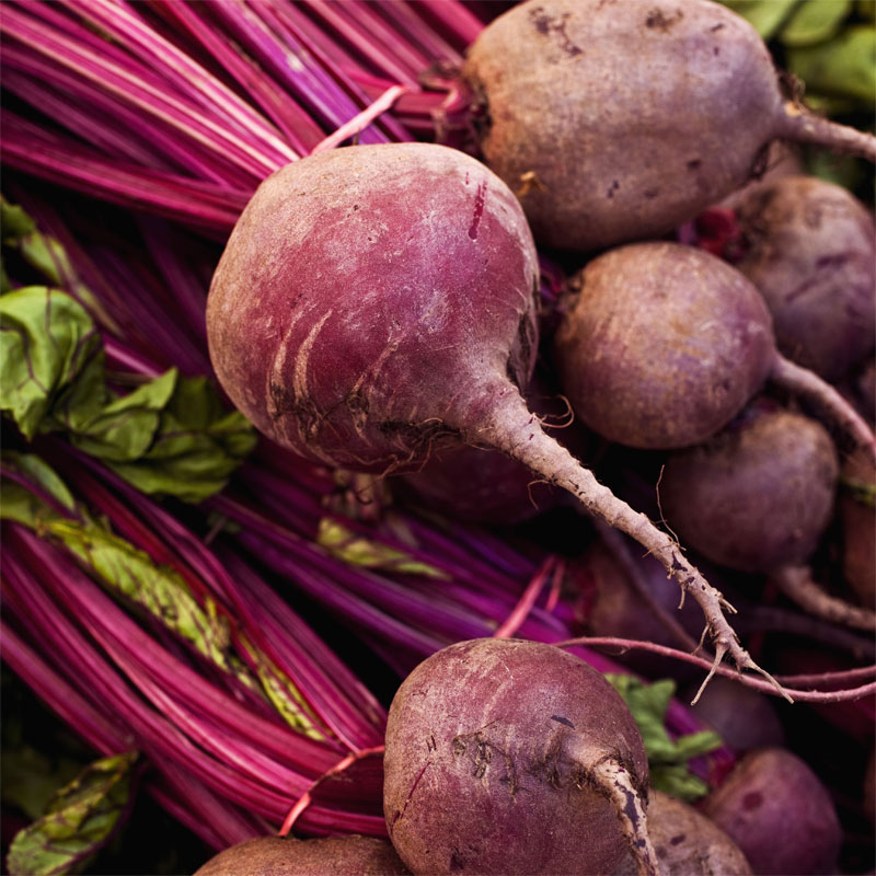 Beet Definition of Beet