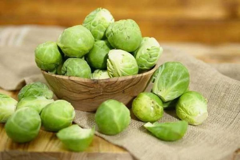 Brussels sprouts Definition of Brussels sprouts