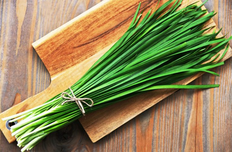 Chili Definition of Chili