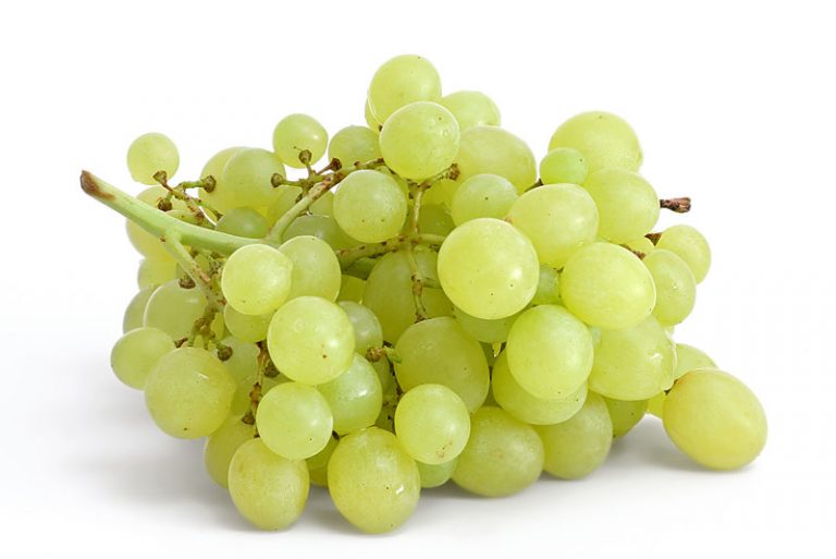 Grape Definition of Grape