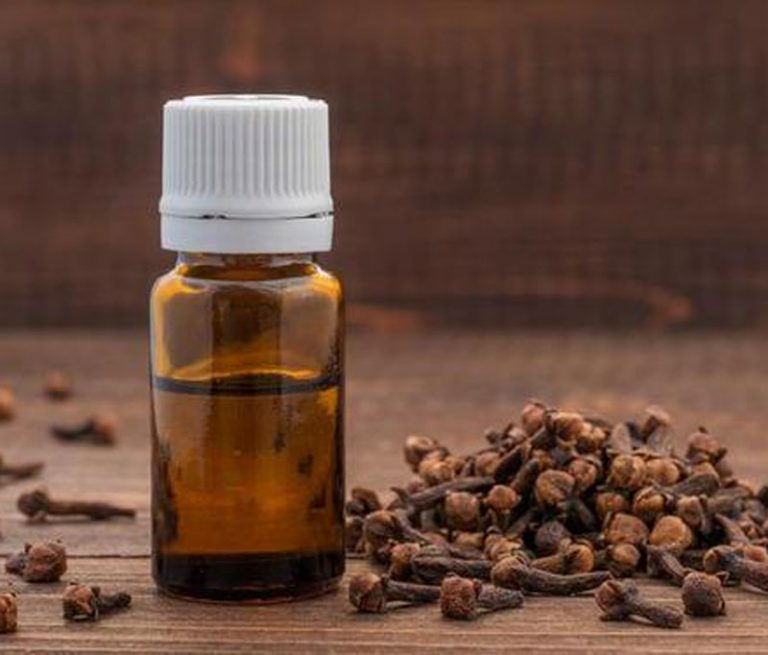 Clove oil Definition of Clove oil
