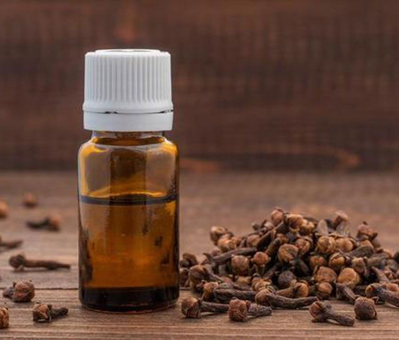 Clove oil Definition of Clove oil